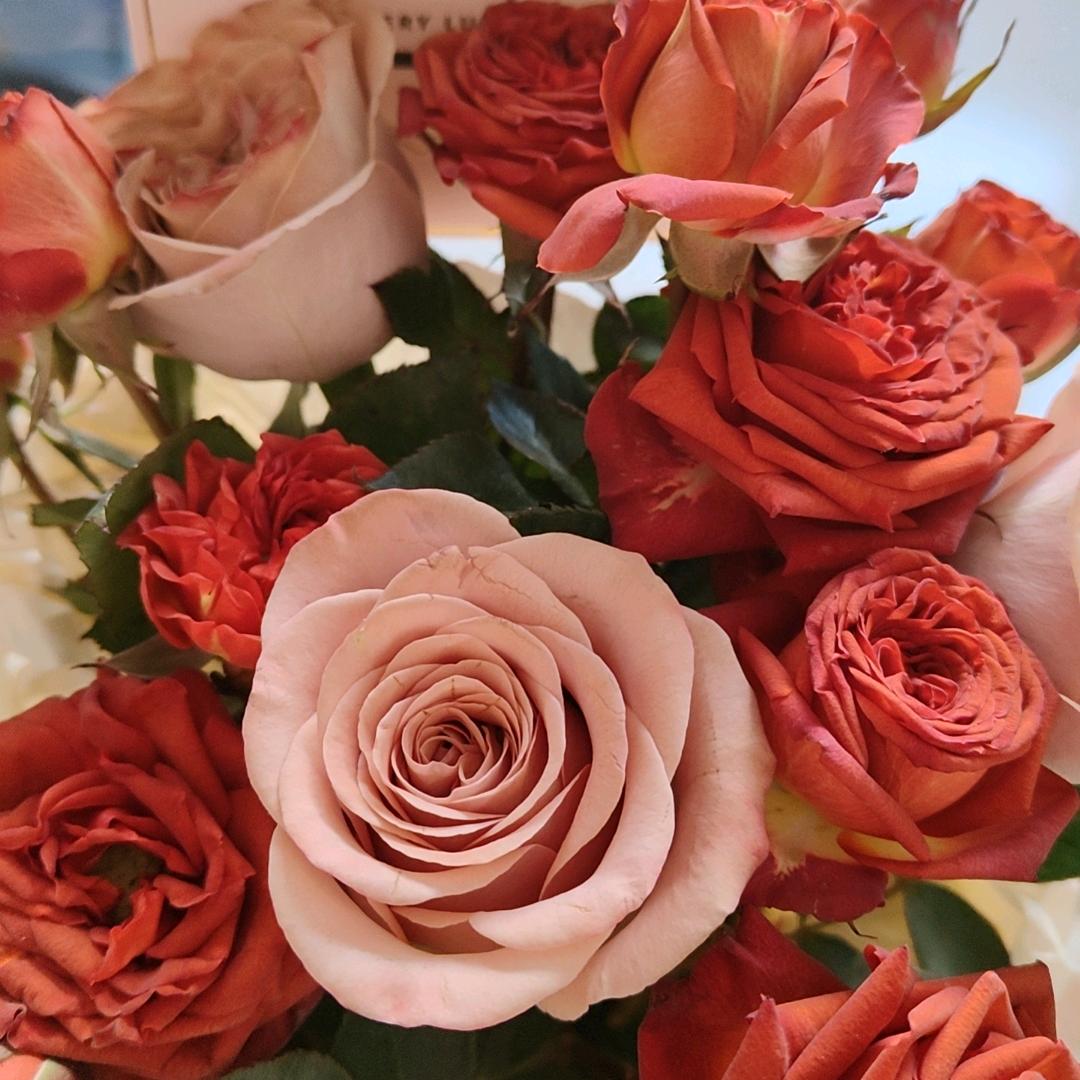 @林府六格格🌹((❤️⥎❤️))🌹