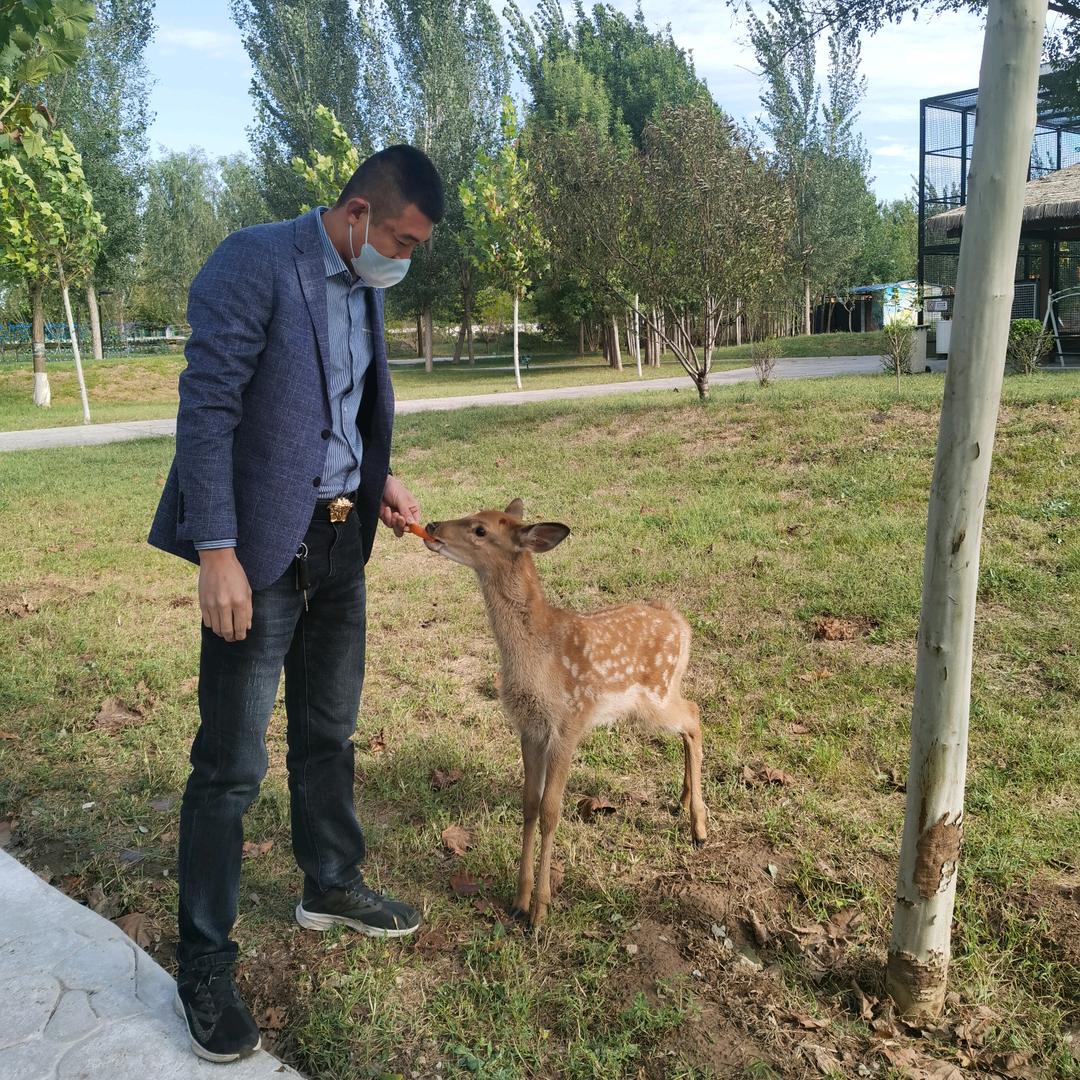 ®帅老板的朋友圈