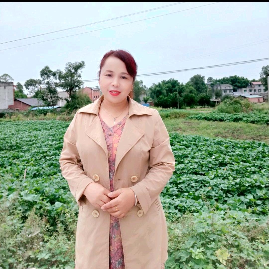喜英子说媒