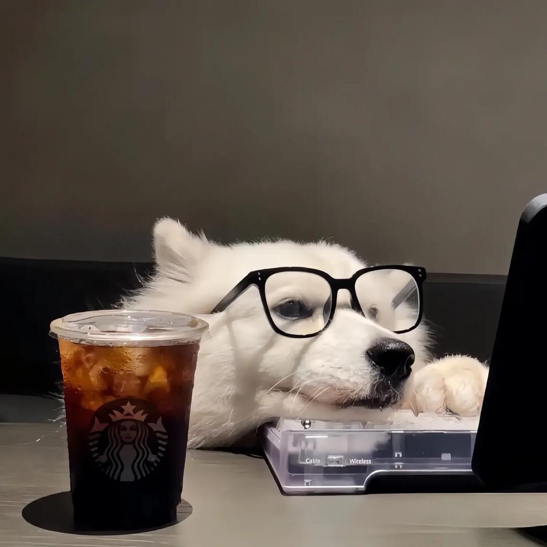 .李名帅？
