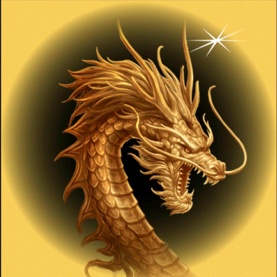 传奇竞技解说