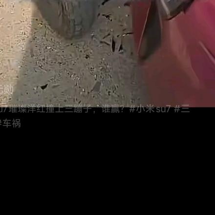 小猫猫儿