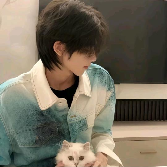 柒柒