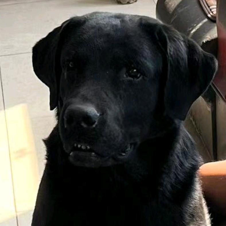 迈克涛