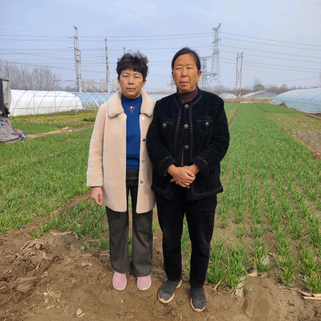 蔬菜杨大姐
