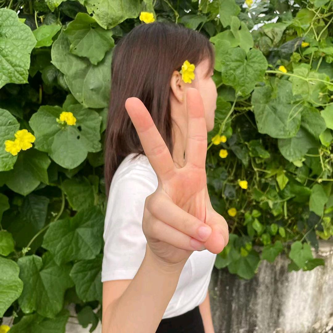 @lsy