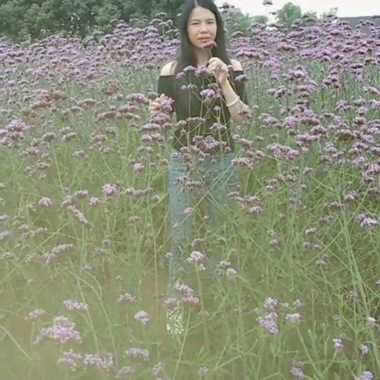 悠悠