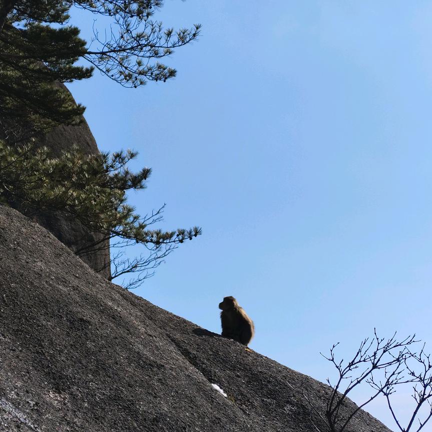 事已至此先吃饭吧
