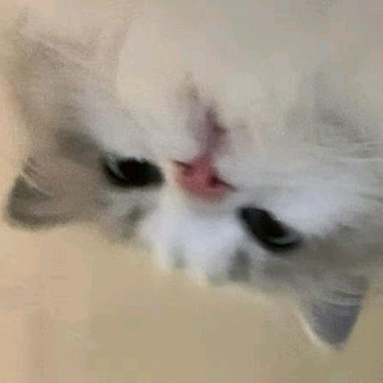 小盼大王