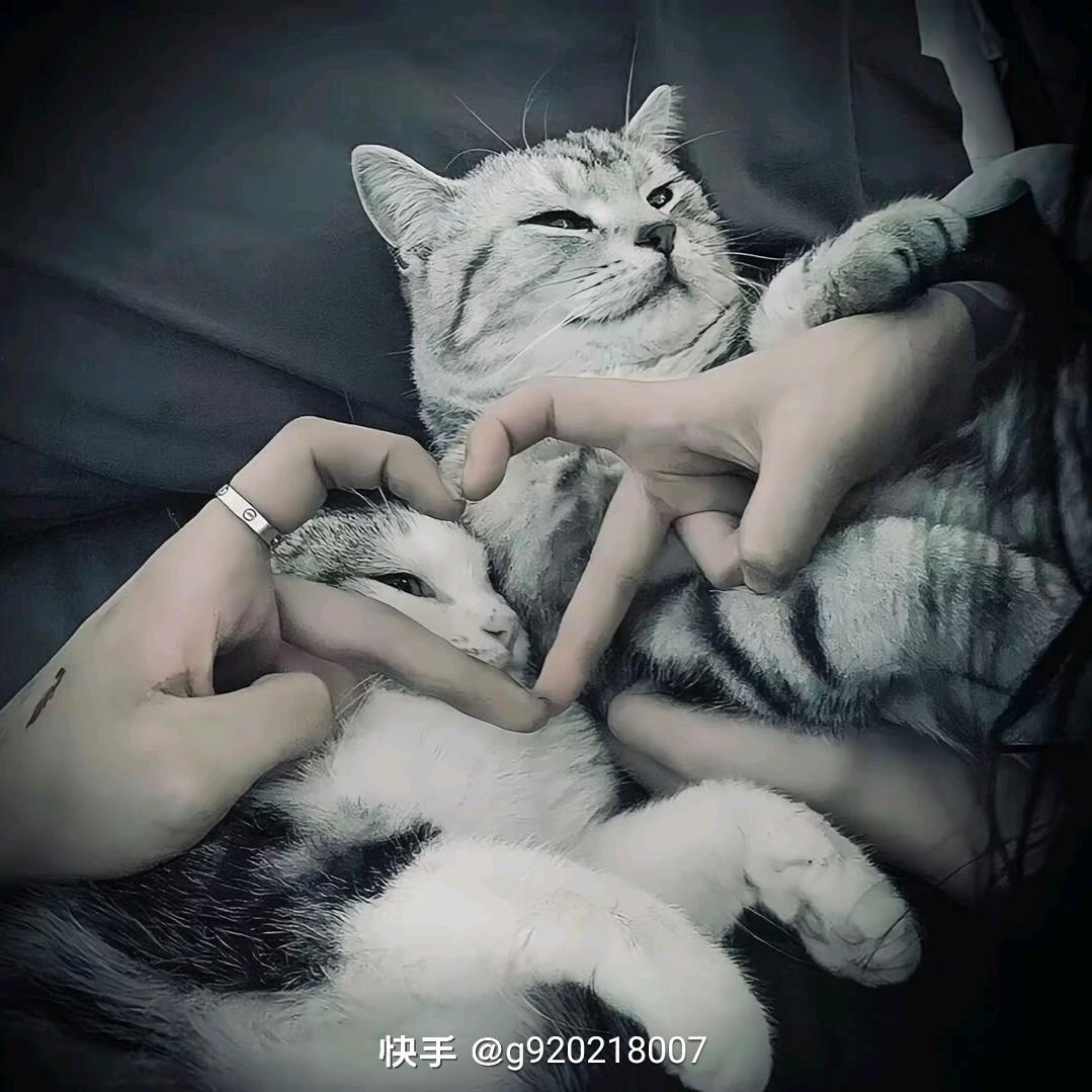 宁宝