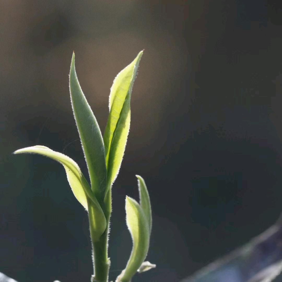 人杰 金融(遵义)
