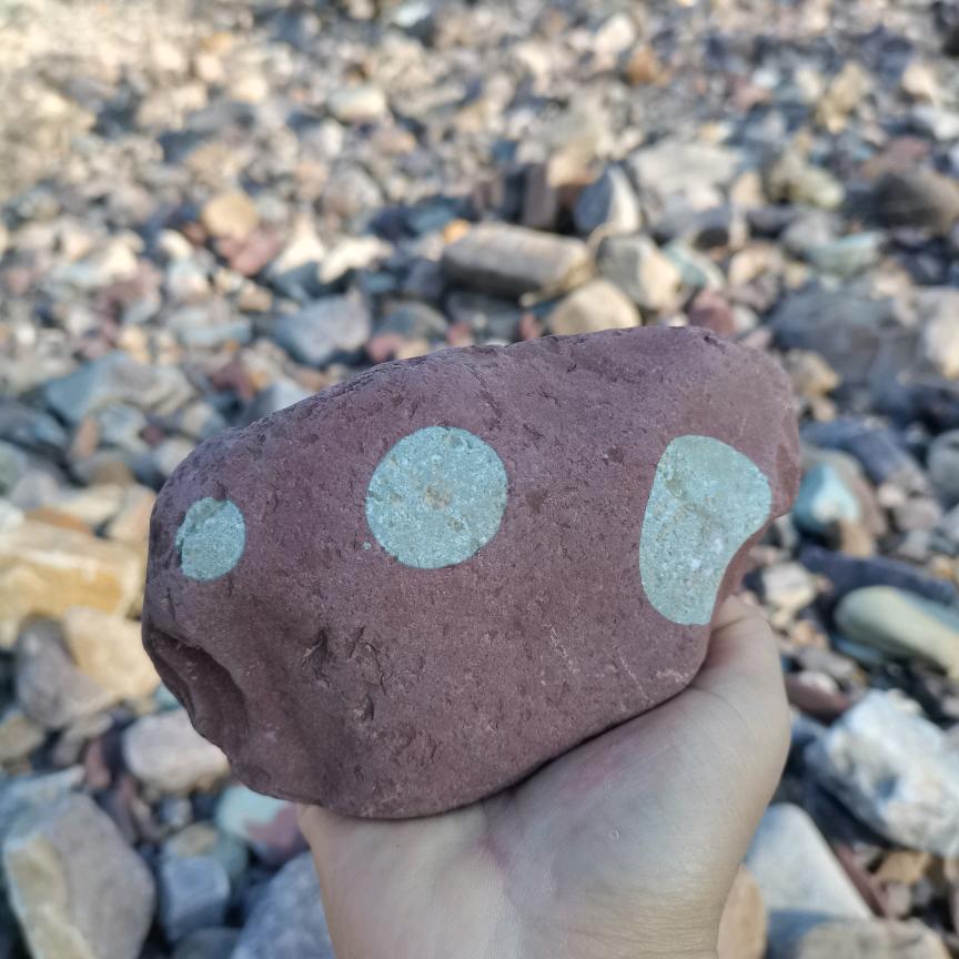 为你刷抖音