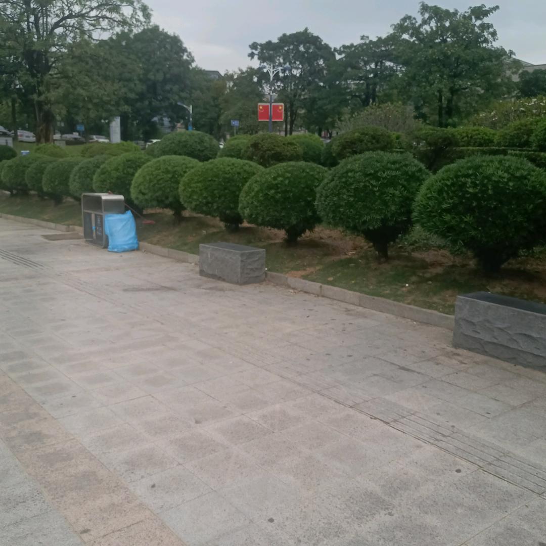 倾城之恋：许