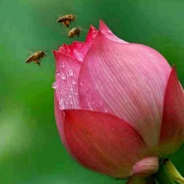 雨中节奏
