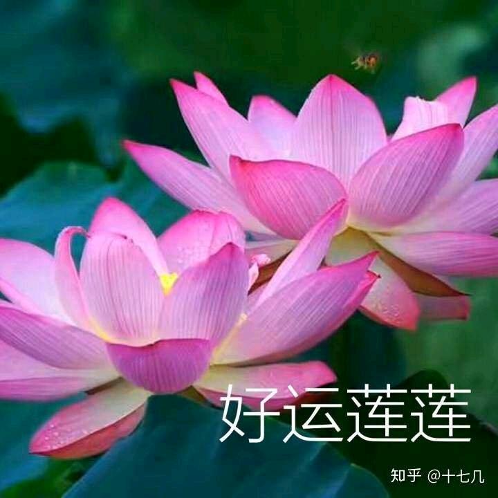 健康平安就是福