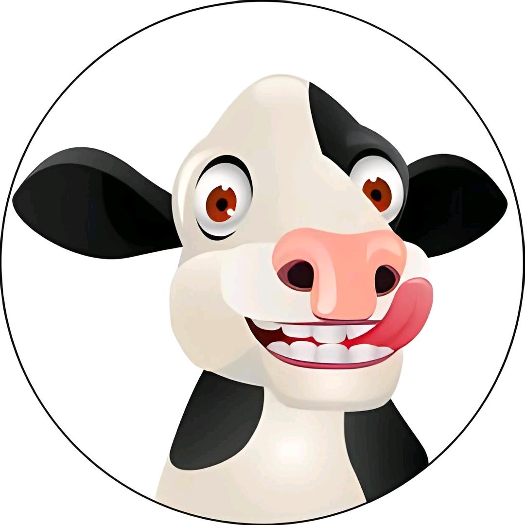 机智的牛🐮
