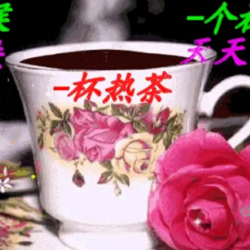 我是你好友杨姐🌹