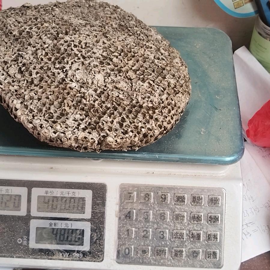 药材搬运工
