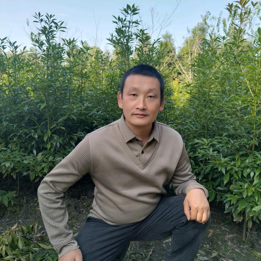 自立种植园（小饶）