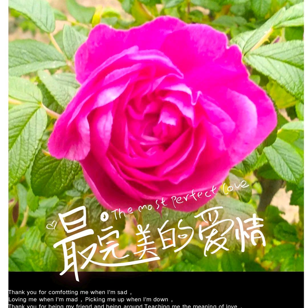 一生幸福、快乐就好💞☘️（陈）
