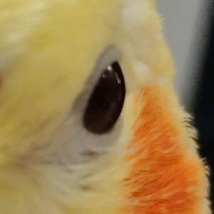 @新老师不让带手链