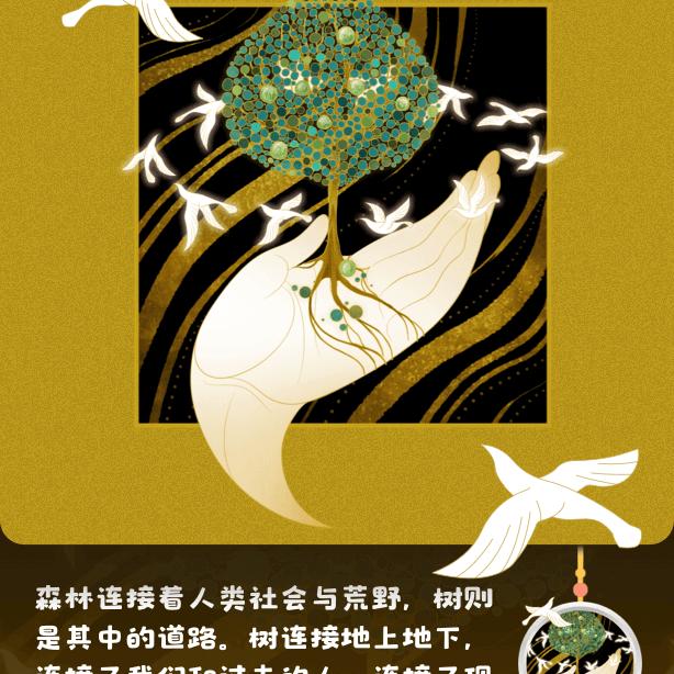 飞常好