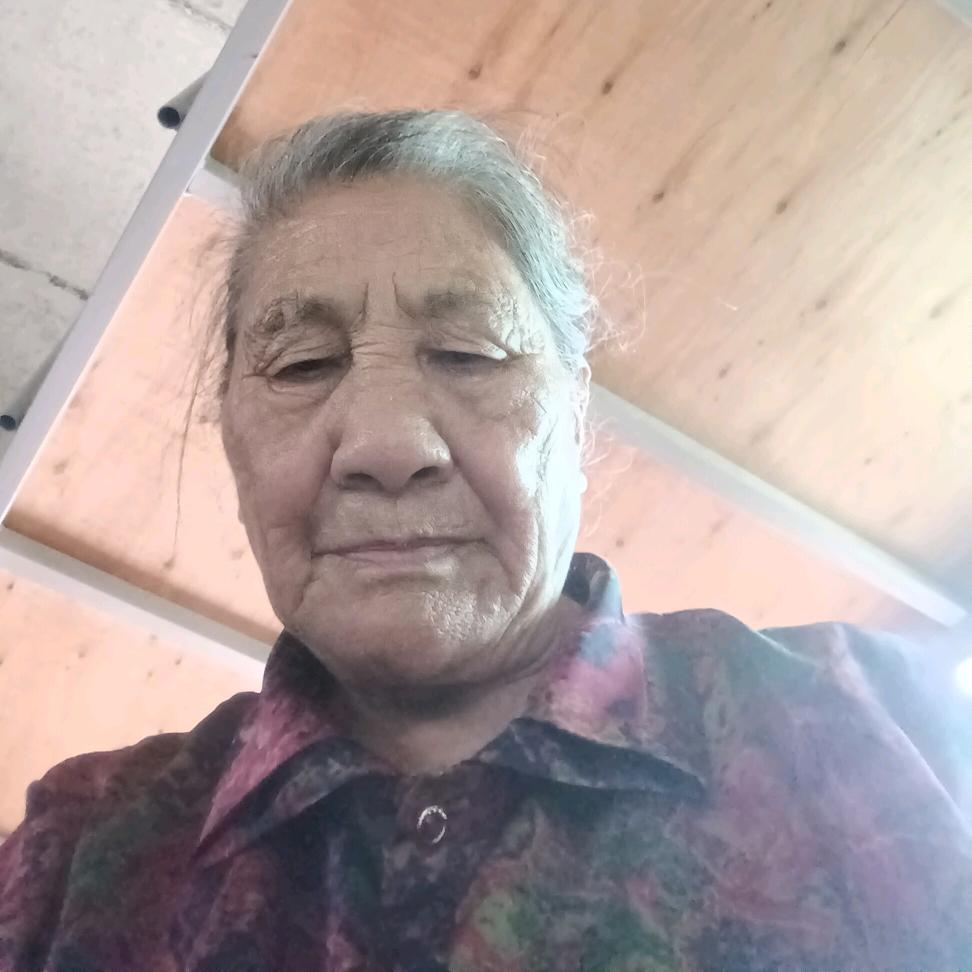 广西桂林灌阳县杉木凉伞树文加艳