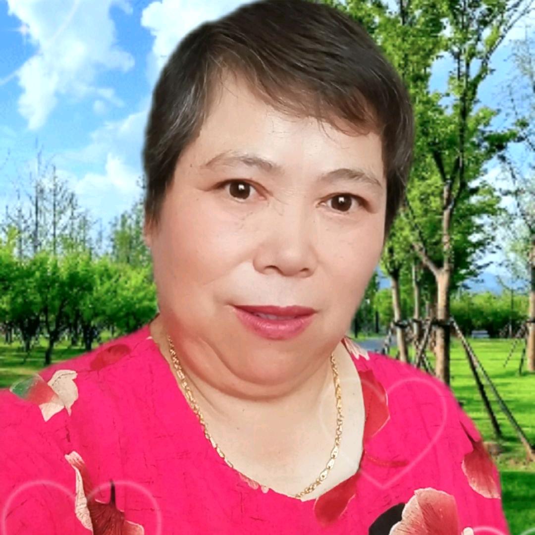 太阳花花🌸