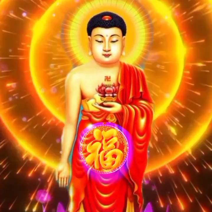 《感恩的❤️》