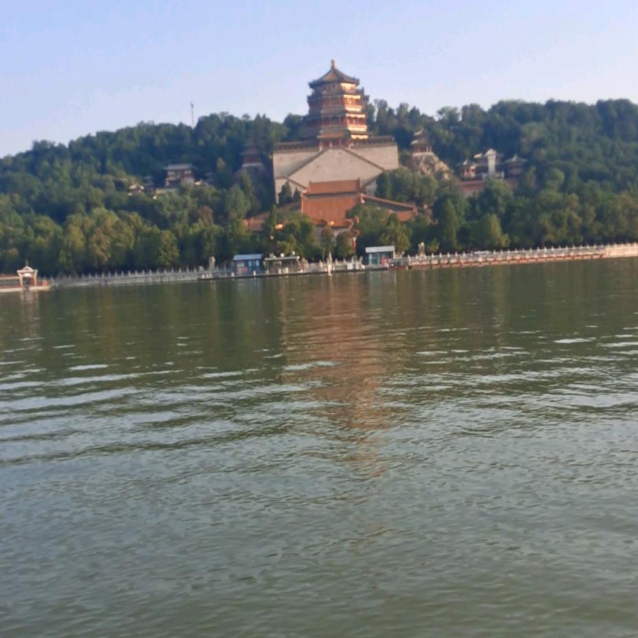 驾考老师(科目一)