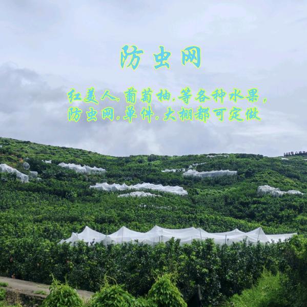 红美人，防虫网定制
