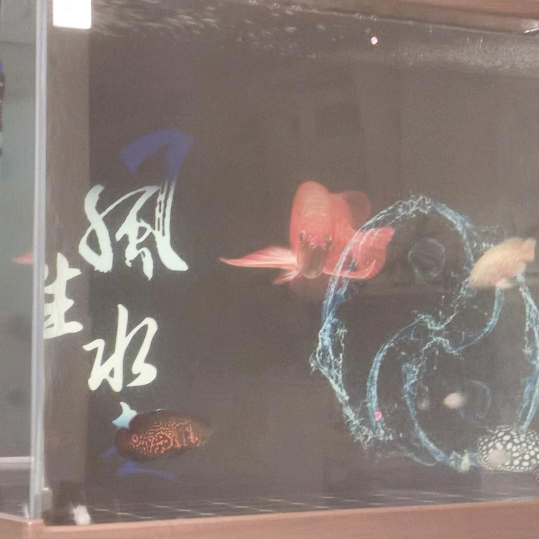 早晨起来
