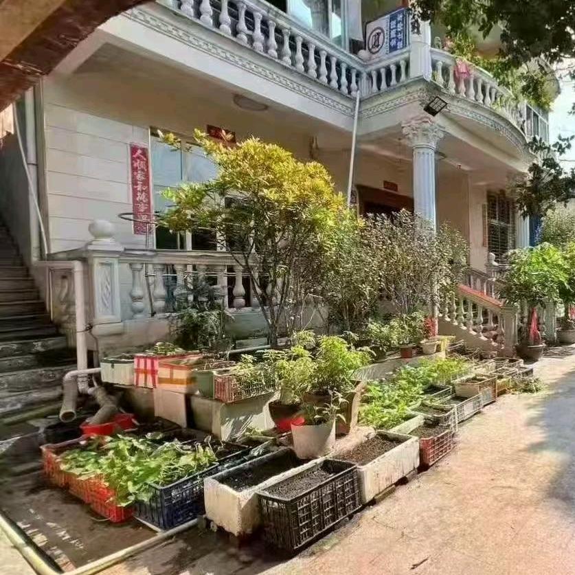 陈哥，展厅场地