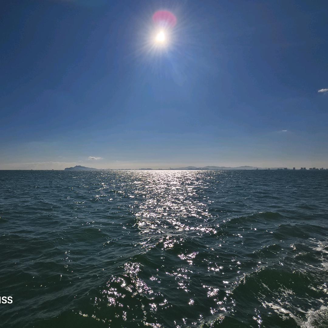 海参