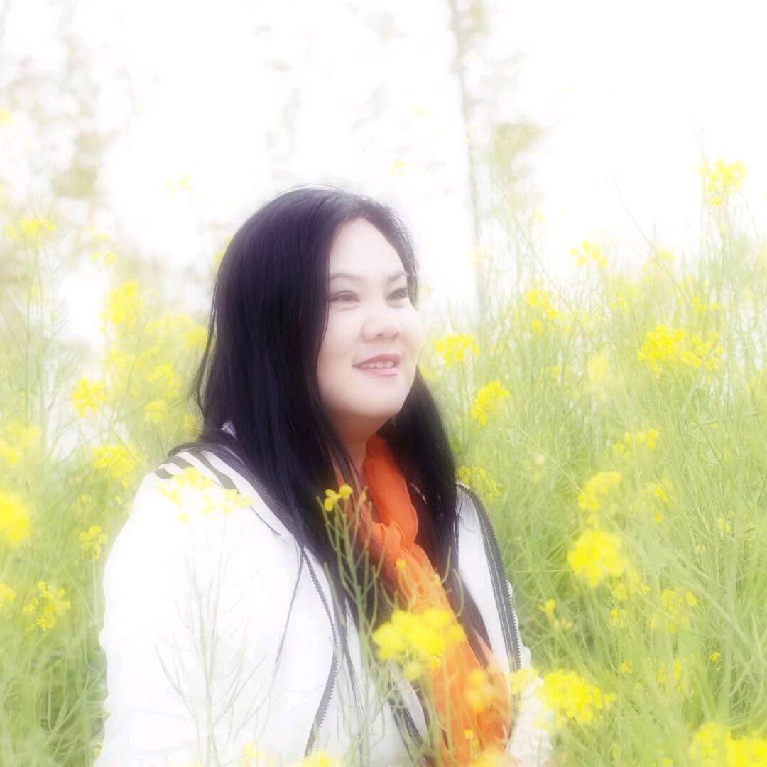 美龄电商