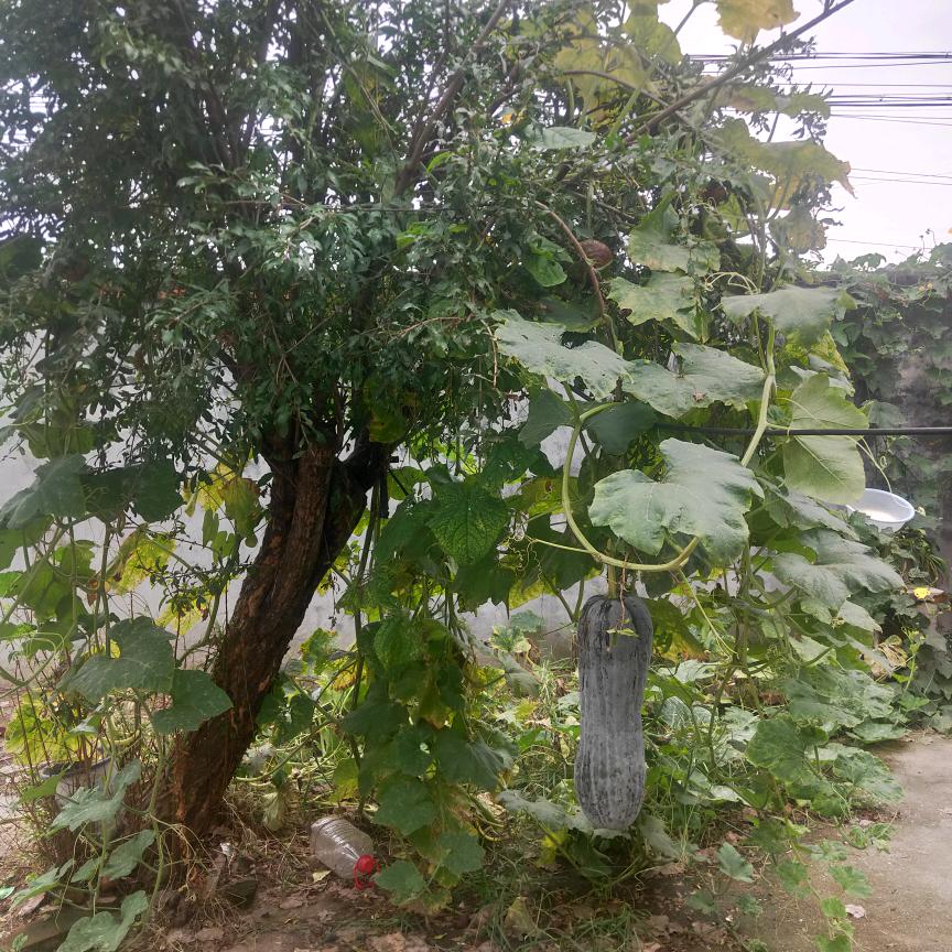 财财福富