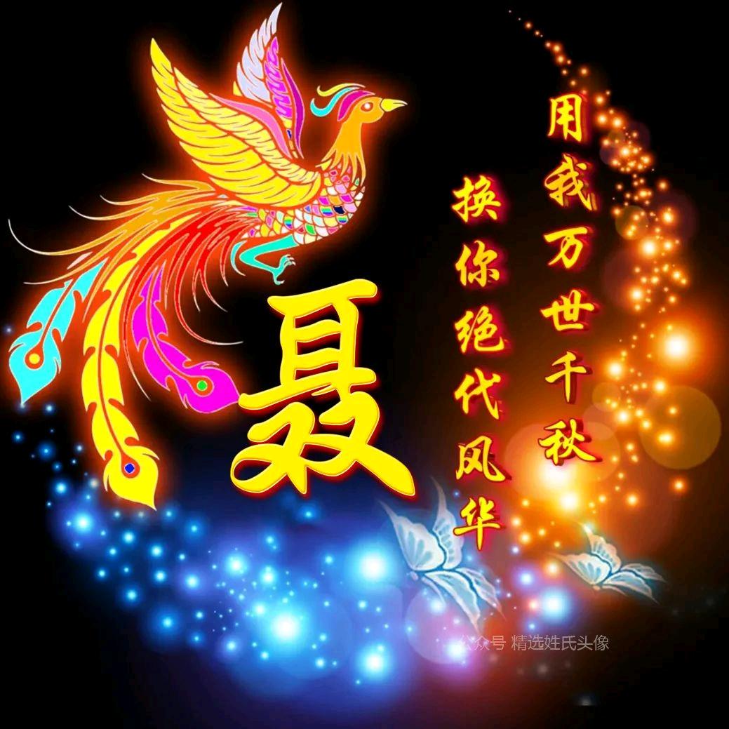法海不懂爱