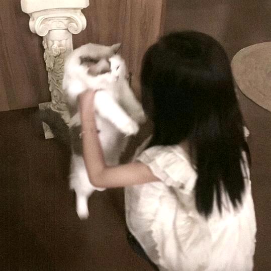 用心了结婚.