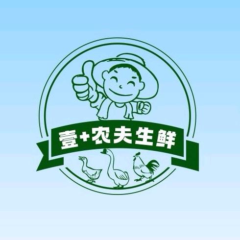 大鹏的乡村生活