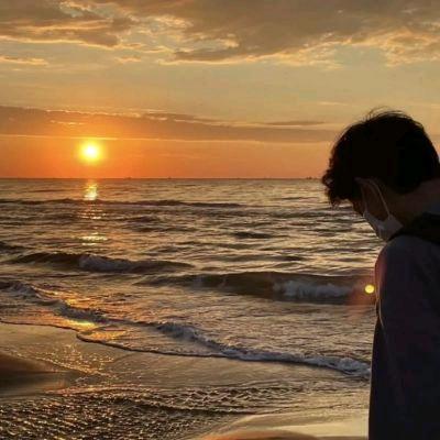 实用好物挖掘机