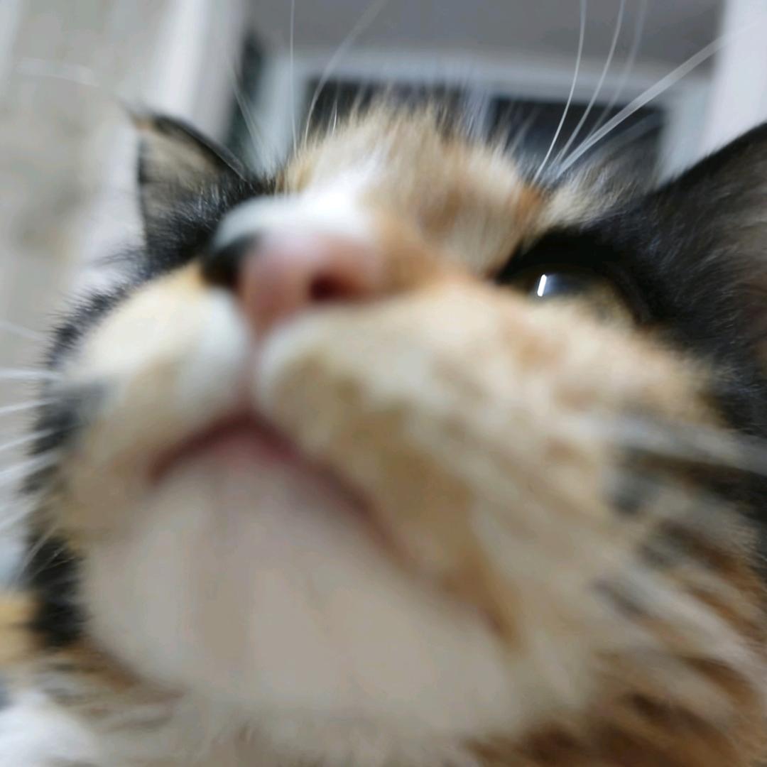 虽然想骂你但是1