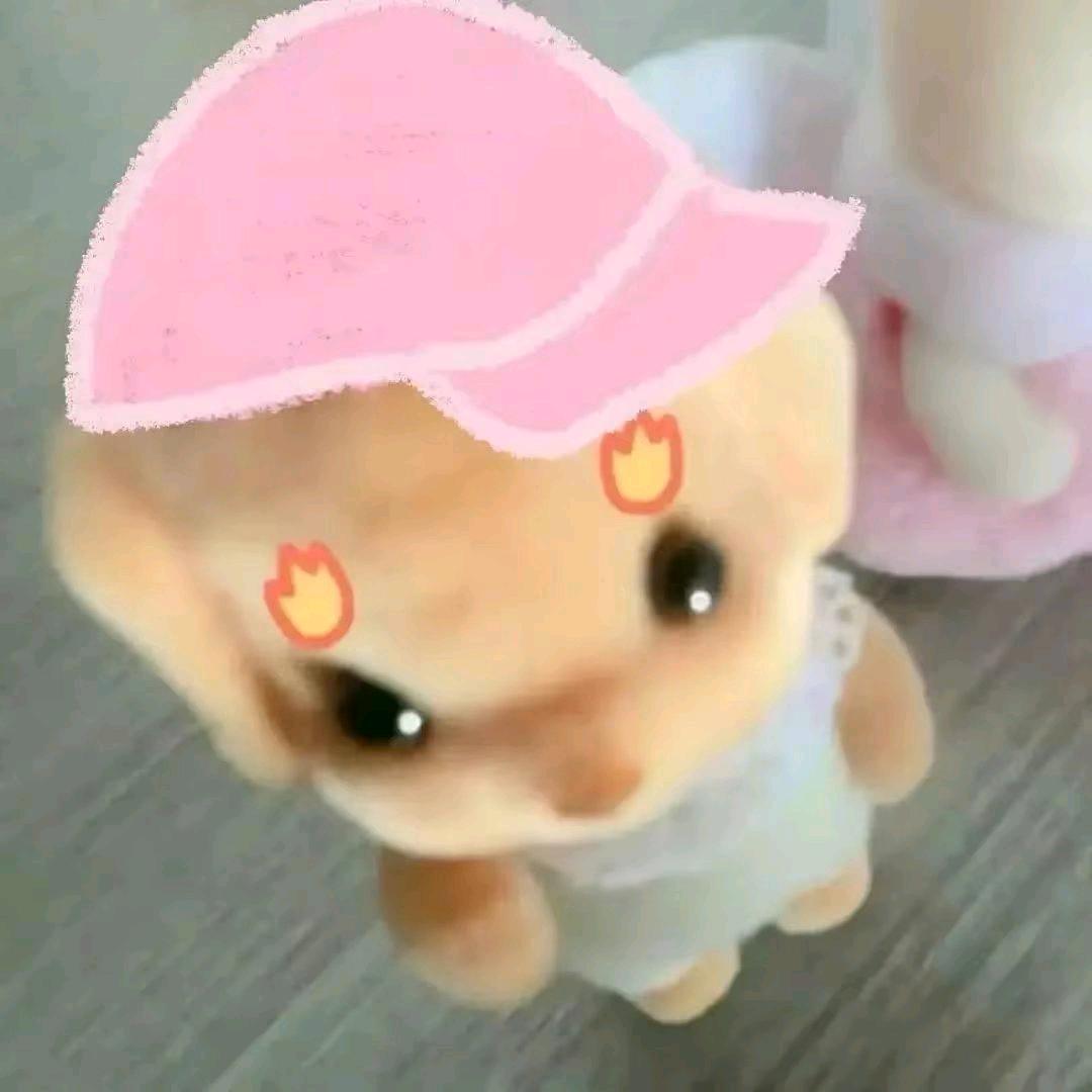 不吃香菜