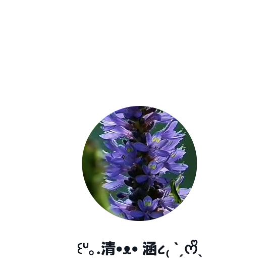 清涵