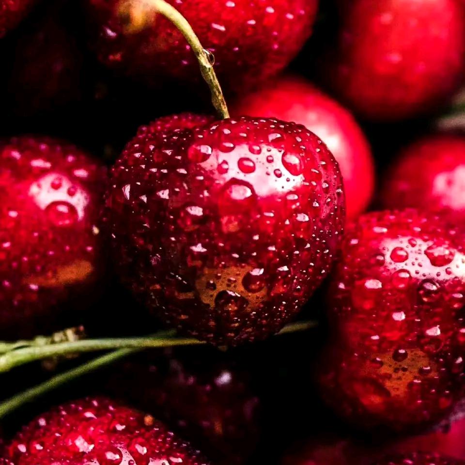 用月光配碗浓汤