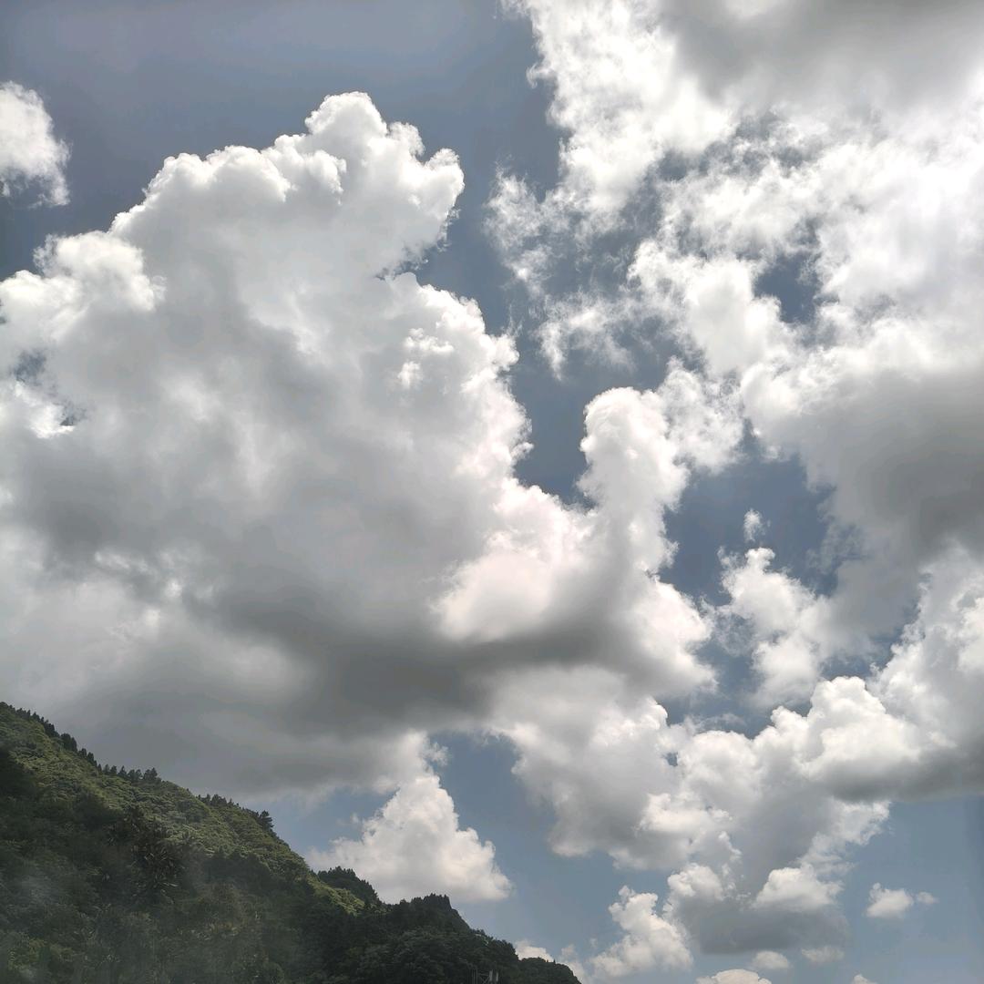 ╭(╯明￥哥ε╰)╮