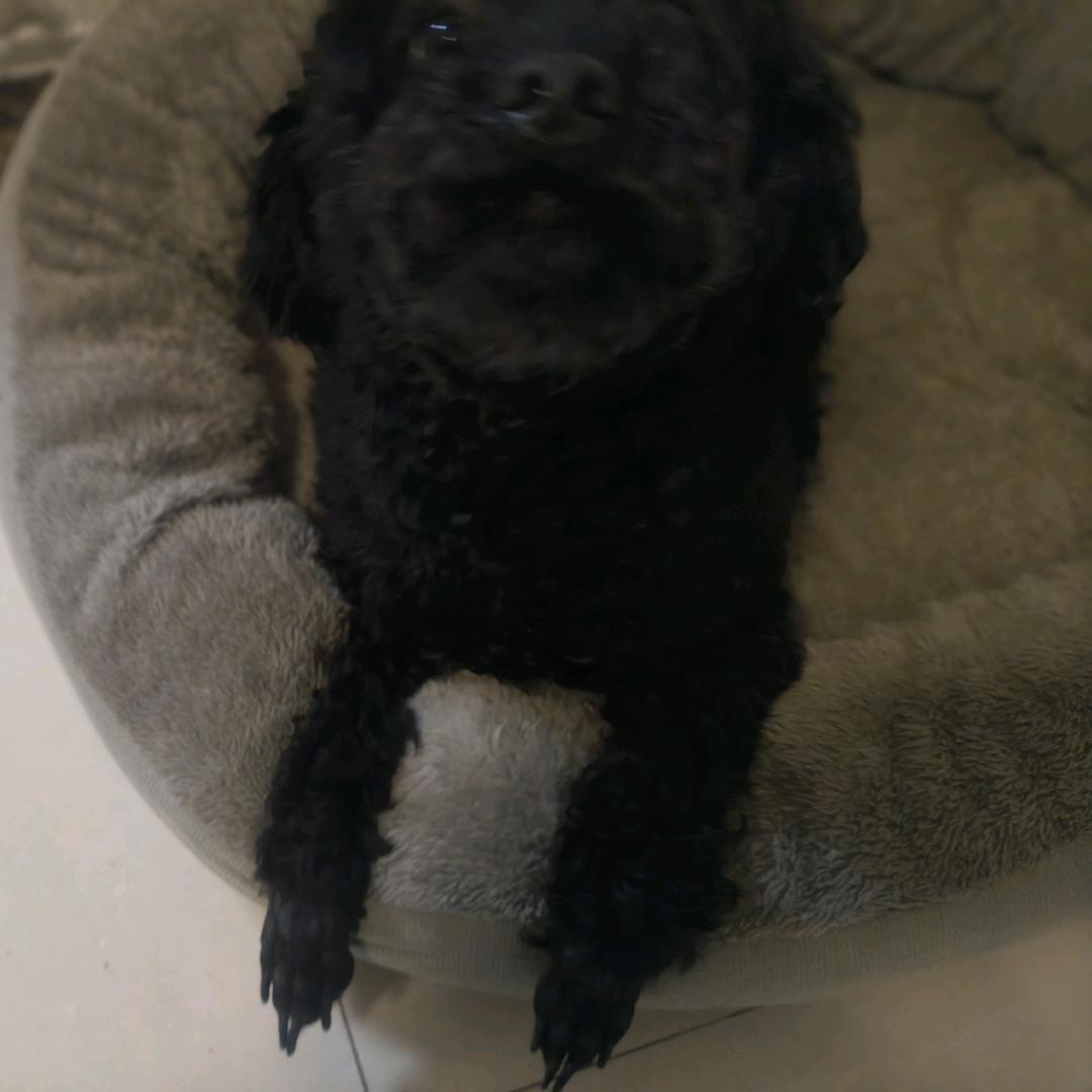 鑫鑫飞飞生鲜