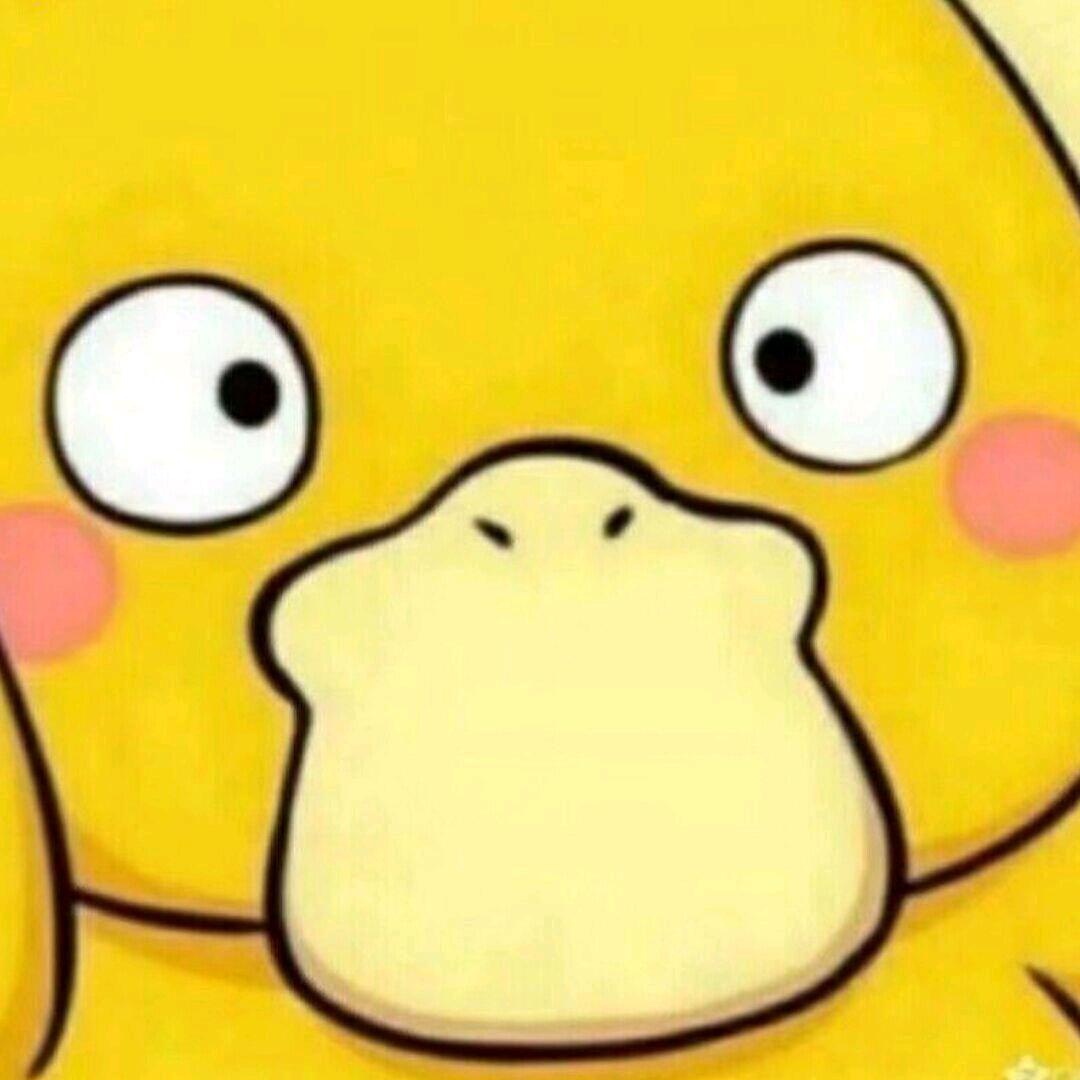 仙路尽头等你