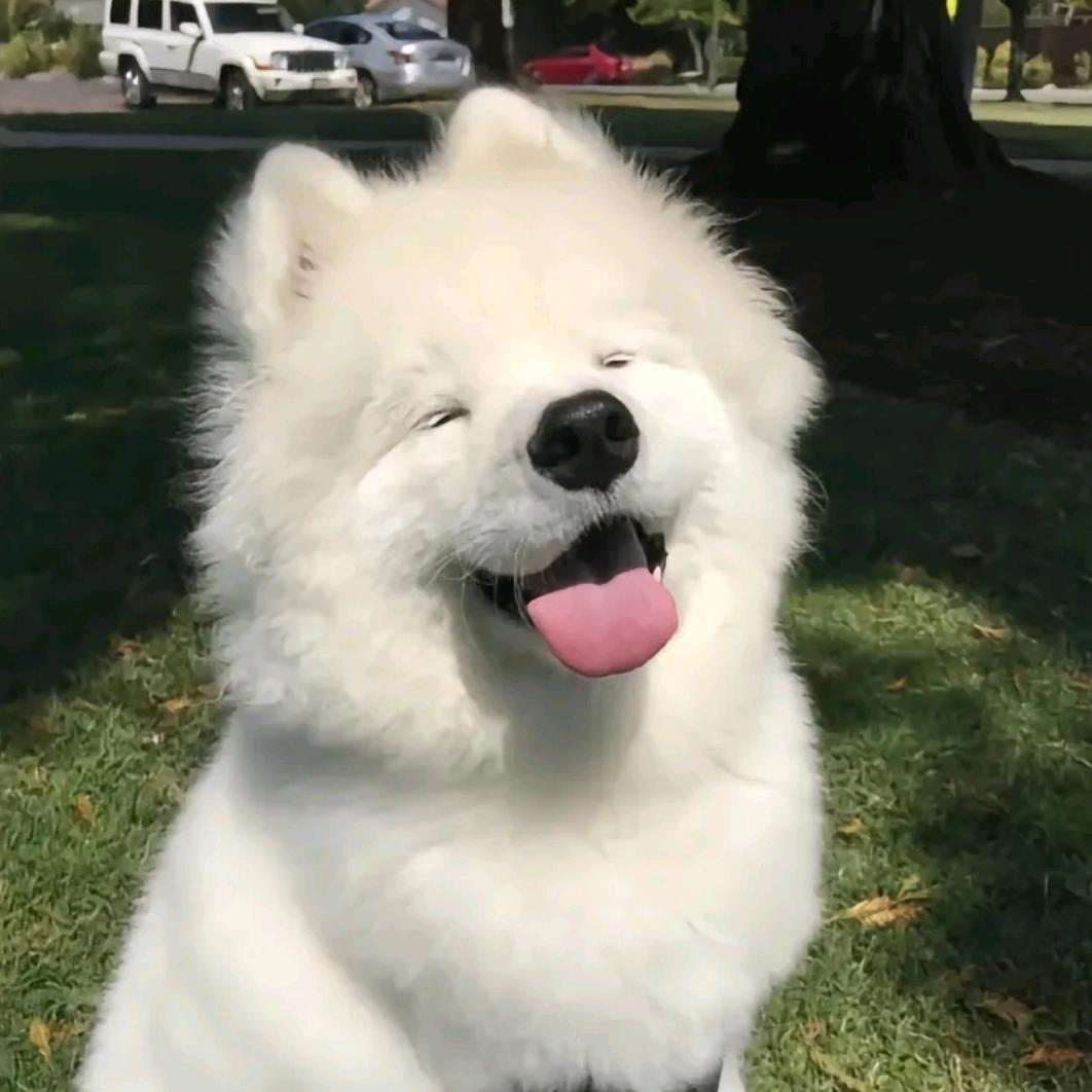 盼盼要开心