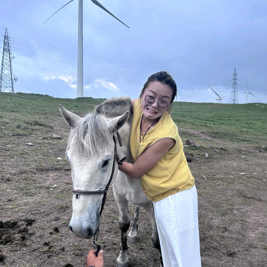 铁锤爱旅行