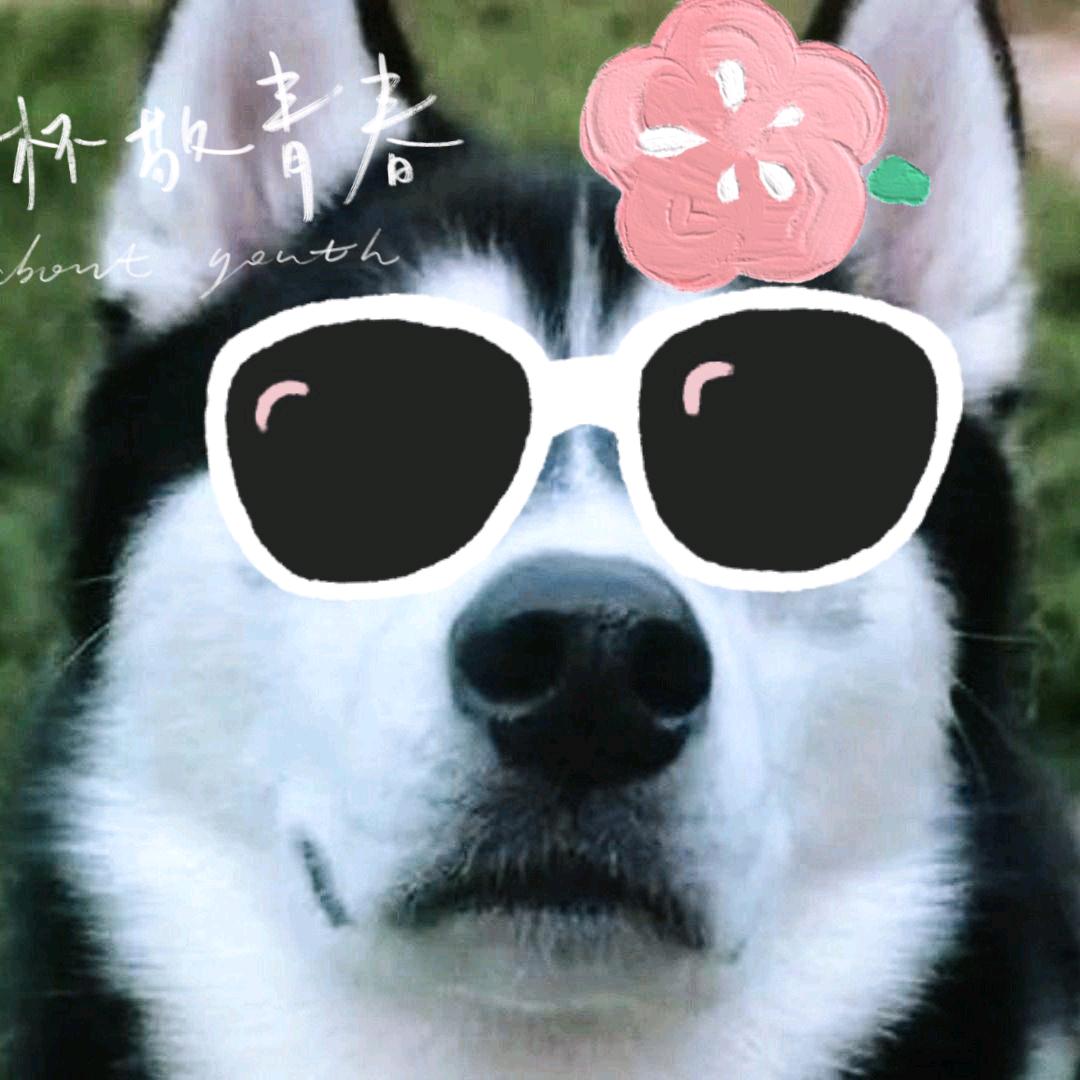岁糯头像